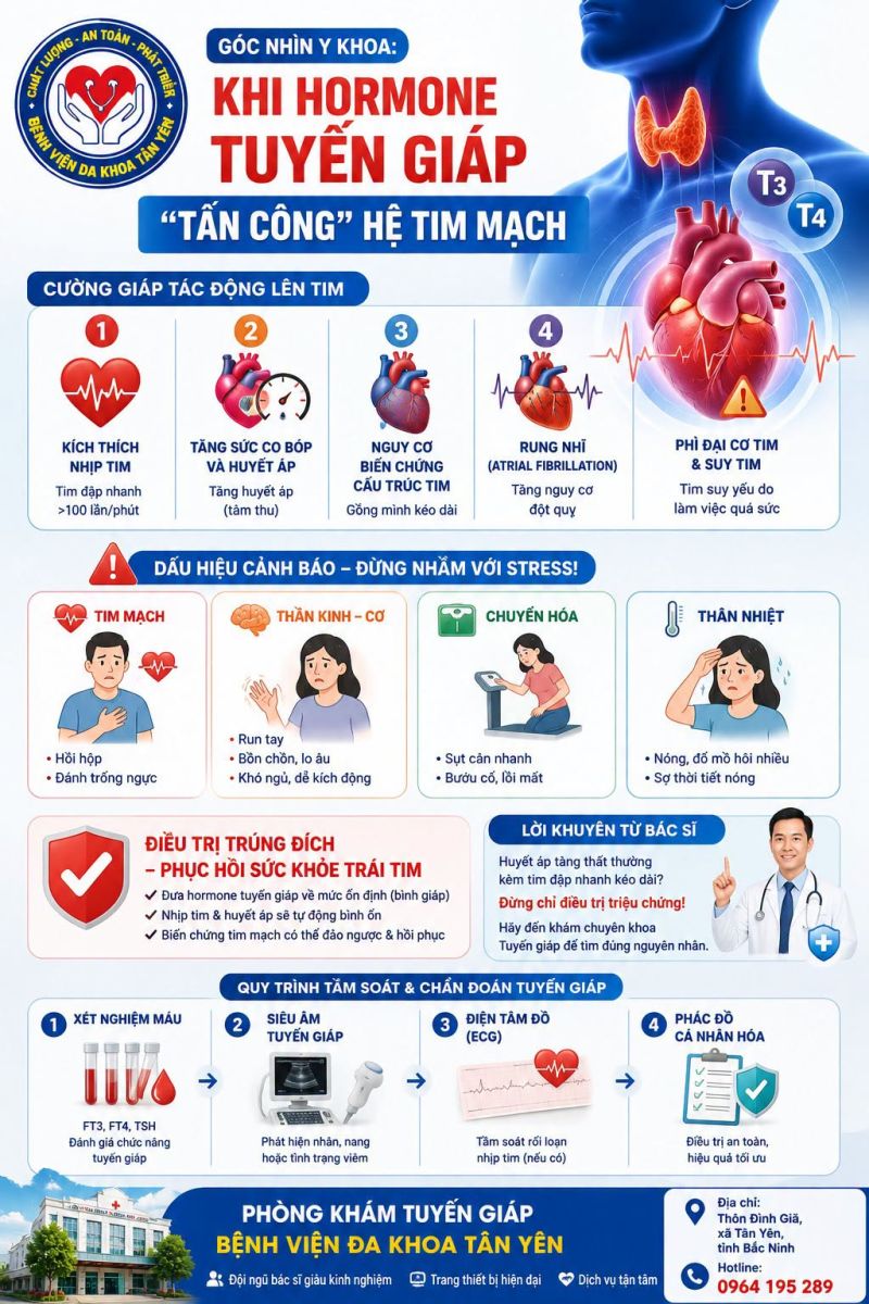 GÓC NHÌN Y KHOA:  KHI HORMONE TUYẾN GIÁP TẤN CÔNG HỆ TIM MẠCH